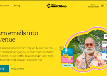 Mailchimp landing page