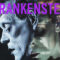 Frankenstein monster analogy for masks and identity
