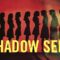 Shadow self leadership emotional agency concept